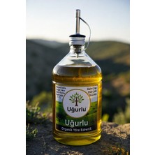 Uğurlu Organik Naturel Sızma Soğuk Sıkım Gurme Zeytinyağı (1 Lt)