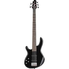 Fadem Store Siyah Renkli 5 Telli Bas Gitar - Çarpıcı Tasarım