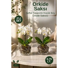 Nandy Home 2'li Set Küçük Boy Orkide Saksı Seti Şeffaf Orkide Saksısı Alt Tablalı Saksı