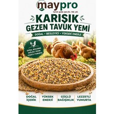 MayPro Tarım Karışık Gezen Tavuk Yemi, Doğal Besleyici Yüksek Enerjili Tavuk Yem Karışımı -