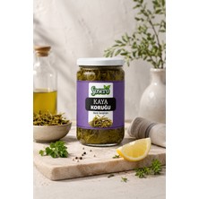 Sosero Kaya Koruğu 600 gr (Süzme 230 Gr)