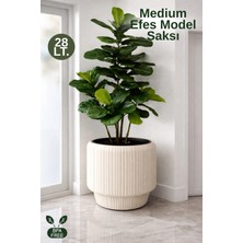Nandy Home Medium Efes Model Dekoratif Saksı Iç Kovalı - Large Saksı