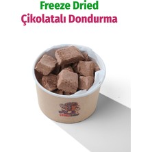 ÇITLAT ÇEREZ SHOP Freeze Dried Çikolatalı Küp Dondurma Dondurularak Kurutulmuş Tatlı