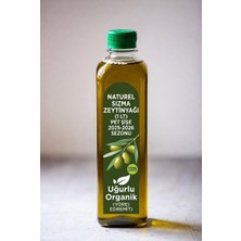 Uğurlu Organik Naturel Sızma Zeytinyağı (1 Lt)