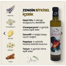Sirke Kdn Plus Hayıt Otu, Aslan Pençesi, Civan Perçemi Sirke Karışımı 500 ml