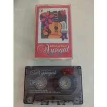 Plakperest Ayşegül – Güzelleme 2  - 1995 Türkiye Basım  Kaset Albüm-2.el