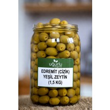 Uğurlu Organik Edremit Çizik Yeşil Zeytin (1,5 Kg)