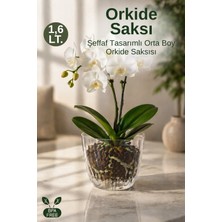 Nandy Home Orta Boy Şeffaf Orkide Saksısı Alt Tablalı Dekoratif Saksı