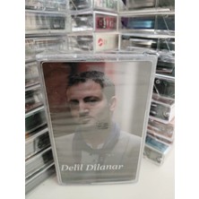 Plakperest Delil Dilanar - Zeriye  -  Türkiye  Basım Kaset Albüm /açılmamış Ambalajlı (Kürtçe)