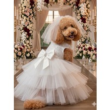 Peti Tailor Köpek Gelinliği Kat Kat Tüllü Pullu Payet Işlemeli Lüks Köpek Kedi Kıyafeti