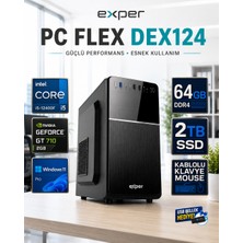 Exper Pc Flex DEX124 Intel Core I5-12400F 64 GB Ddr4 2 Tb SSD Nvidia Geforce GT710 2 GB Windows 11 Pro Masaüstü Bilgisayar DEX124RNP09