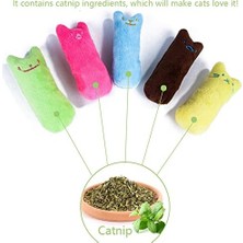 Catnip Kedi Oyuncağı Pembe – Sesli Peluş Kedi Oyuncak, Isırınca Ses Çıkaran Plush Cat Toy, Yumuşak Dayanıklı Mini Boy Kedi Oyuncağı, Kediler Için Eğlenceli Oyuncak