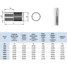 Çelik Dübel M8X30MM, Çelik Galvanizli Çakma Dübel, Duvar Montaj Ankrajı, Yapıların Sabitlenmesi ve Yük Taşıma Kapasitesini Artırmak Için 10 Adet