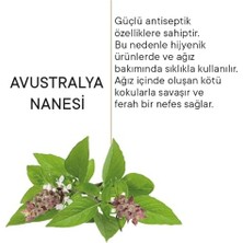 Avustralya Nanesi Özlü Koku Önleyici Ağız Bakım Damlası, 20ML (4 Paketi)