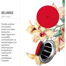 Vavana Spin Araba Klima Kokusu - Profesyonel Otomobil Kokusu | Bpa & Sıvı Içermez | 90 Gün Etkili - 6'lı Set