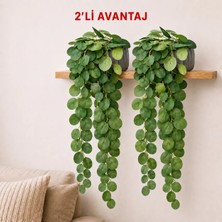 B&Nine 2'li Yapay Çiçek Söğüt Okaliptus İpek Materyal Modern Dekorasyon