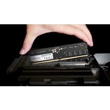 Adata Ddr5 16GB 5600-46 Premier Tray Tek Tepsi
