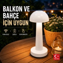 Zen Light Mantar Metal Masa Lambası