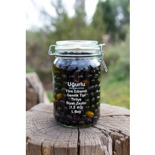 Uğurlu Organik Gemlik Tipi Tirilye Zeytin (1,5 Kg) – L