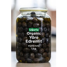 Uğurlu Organik Sele Siyah Zeytin Az Tuzlu (1,5 Kg)