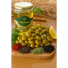 Uğurlu Organik Izgara Yeşil Zeytin (1 Kg)