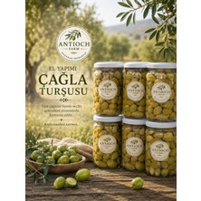 Antioch Farm El Yapımı Çağla Turşusu 660ML930 gr