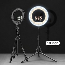 Raylax Döküm Ayaklı Profesyonel Kuaför Makyaj Çekimleri 18ınç 460 LED Kumandalı Ring Lıght