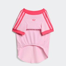 Adidas Originals Pembe Pet Cali Tişört (KY8729)