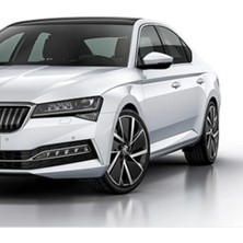 Flea Market Skoda Fabia, Octavia, Karoq, Kodiaq, Kamiq, Scala - Buzul Metalik Beyaz LS9R - Rötuş Boyası 25ML.