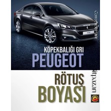 Flea Market Peugeot 208, 301, 308, 3008, Rcz Köpekbalığı Gri - 9p/ Ktp - Rötuş Boyası 20 ml