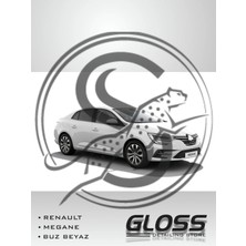 Flea Market Renault Megane 369 Buz Beyazı - Profesyonel Çizik ve Taş Izi Giderici Rötuş Boyası 30ML.