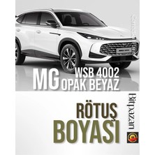 Flea Market Mg , ( Zs, Zs Ev, Ehs, Hs, Mg4 ) – Wsb 4002 Beyaz 20ML Rötuş Boyası | Çizik ve Taş Izi Onarıcı