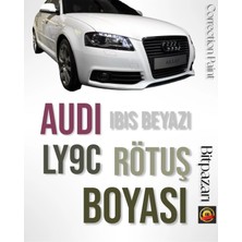 Flea Market Audi LY9C Ibis White - Profesyonel Çizik ve Taş Izi Giderici Rötuş Boyası 30 Ml.