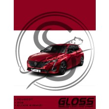 Flea Market Peugeot 308/E308 Elixir Kırmızı Evh - Profesyonel Çizik ve Taş Izi Giderici Rötuş Boyası 20ML.