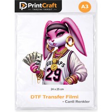 Palo Santo 24X25 cm Pembe Tavşan Modeli Ütü ile Yapışan Dtf Transfer Baskı (A3)