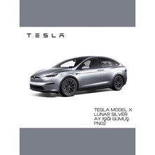 Flea Market Tesla Model x Lunar Silver (Ayışığı Gümüş) PN02 - Profesyonel Rötuş Boyası 30ML.