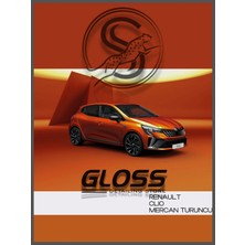 Flea Market Renault Clio Eqb Mercan Turuncu - Profesyonel Rötuş Boyası Çift Şişe 30ML./30ML.UYUMLU