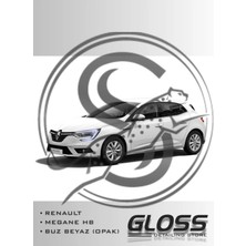 Flea Market Renault Megane Hb Buz Beyaz 369 - Profesyonel Çizik ve Taş Izi Giderici Rötuş Boyası 30ML.