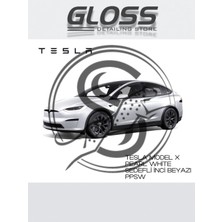 Flea Market Tesla Model x White Pearl(Sedefli Inci Beyazı)Ppsw - Profesyonel Rötuş Boyası Çift Şişe 30/30ML.
