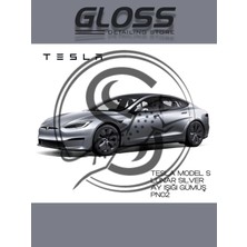 Flea Market Tesla Model S Lunar Silver(Ayışığı Gümüş) PN02- Profesyonel Rötuş Boyası 30ML.