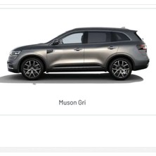 Flea Market Renault Talisman , Capture , Koleos Muson Grisi Kad - 25ML Fırçalı Şişe