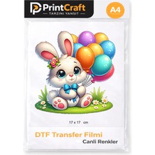 17X17 cm Tavşan Modeli Ütü ile Yapışan Dtf Transfer Baskı (A4)