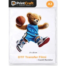 Palo Santo 21X25 cm Basketbolcu Ayı Modeli Ütü ile Yapışan Dtf Transfer Baskı (A3)