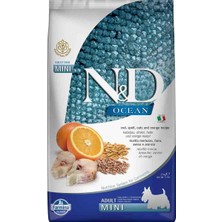 N&d Ocean Düşük Tahıllı Balık Portakal Mini Yetişkin Köpek Maması 2,5 kg
