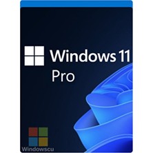 Microsoft Windows 11 Pro Dijital Lisans Anahtarı Key 32&64 Bit , Freedos Uyumlu Ömür Boyu