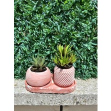 Terra Lume Taş Tozu 3'lü Set