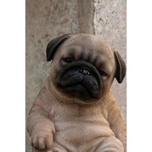 Elivora Hi Ltd Oturan Uyuyan Pug Yavru Köpek Heykeli Heykelcik