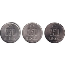 Benim Koleksiyonum 250.000 Lira (2002-2004) Tam Takım Çil Eski Madeni Para Seti