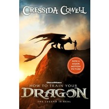 Hodder Children's Books How To Train Your Dragon