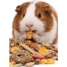 Canarino Versele Laga Muesli Guinea Pig Yemi 1 kg